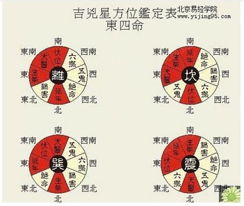 东四命|东四命与西四命的命卦对照